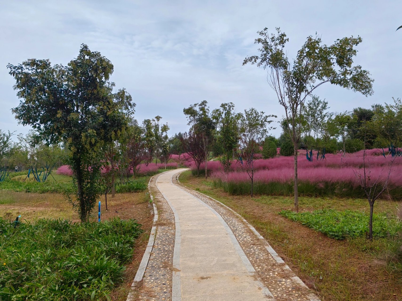 安陽湯陰國家溼地公園 沒想到這個公園超大, 綠化面積非常大 還有一個