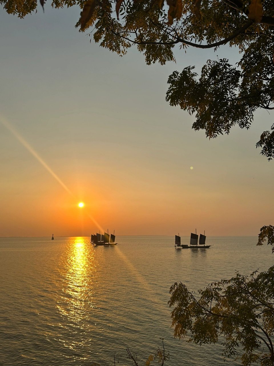 高邮湖风景图图片