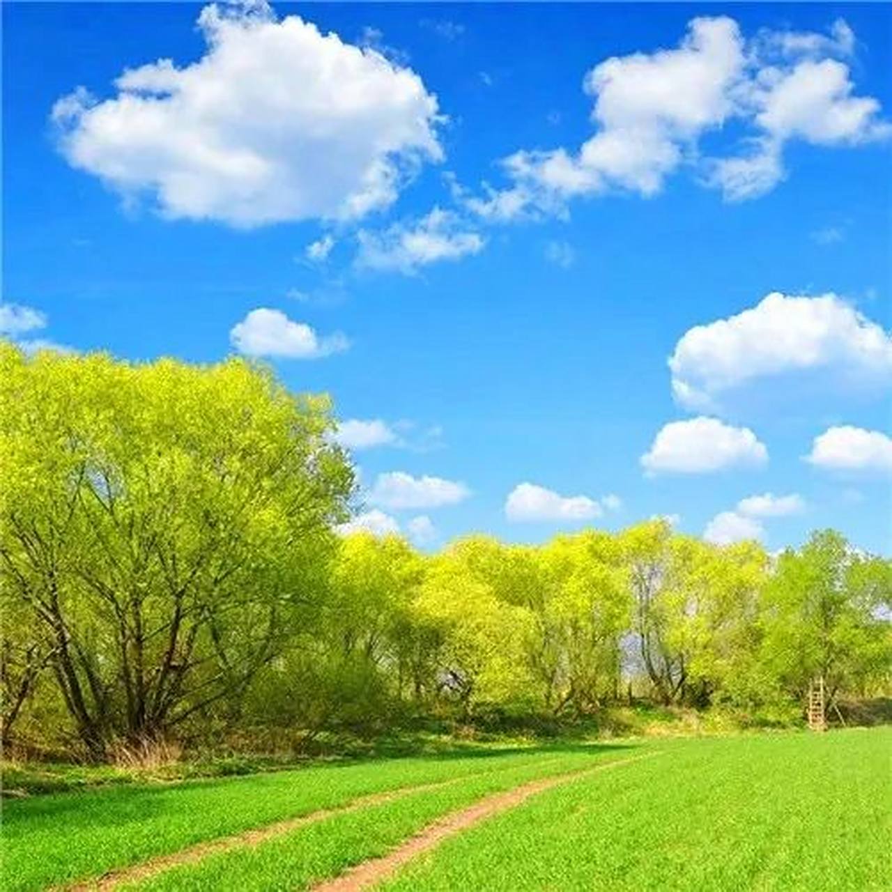 适合年龄大的头像 中老年人专属微信头像,快来看看吧 羡慕从不盲目