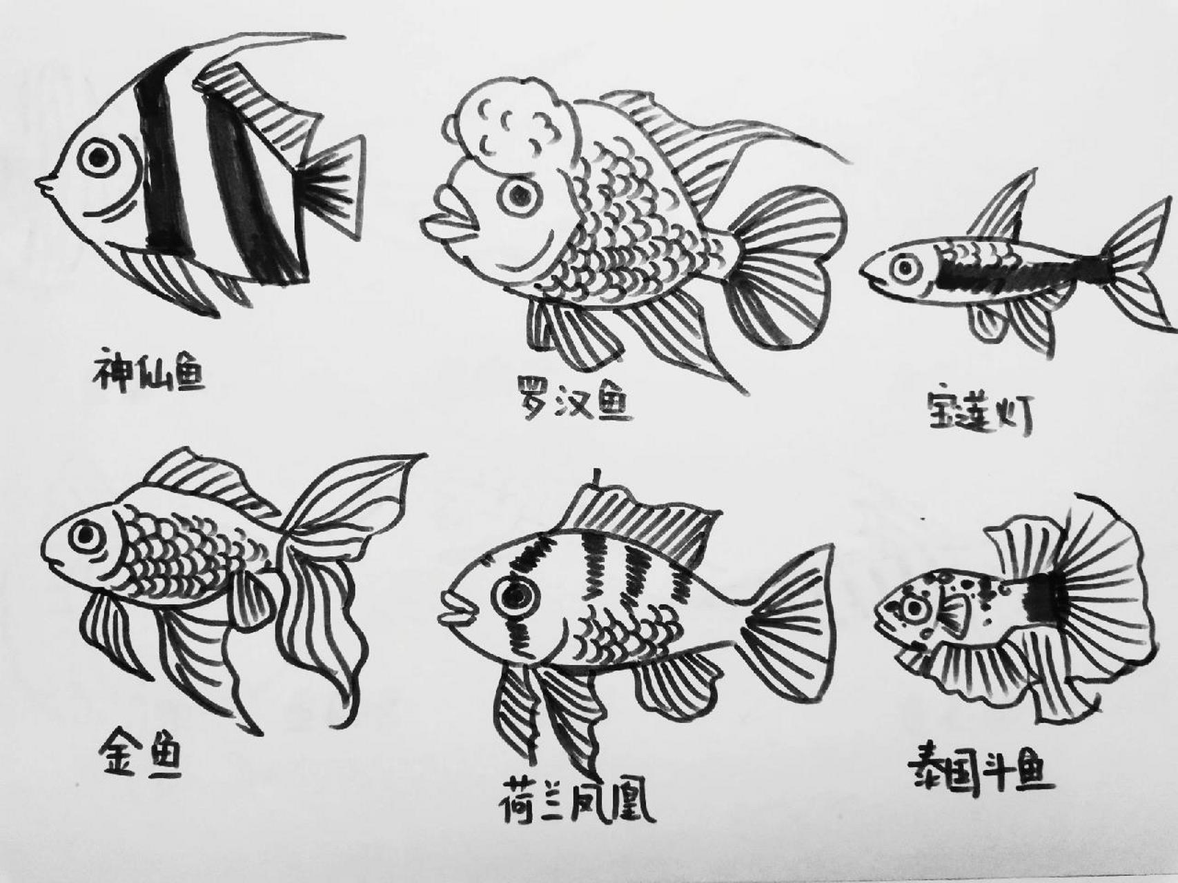 简笔画——鱼合辑96 简笔画——鱼合辑96