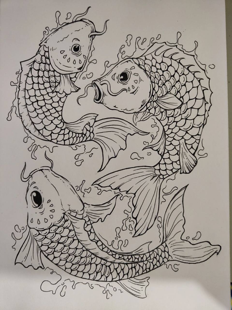 年年有鱼跟着一起画起来研究鱼的表现形式吧 78动物里面,鱼应该是