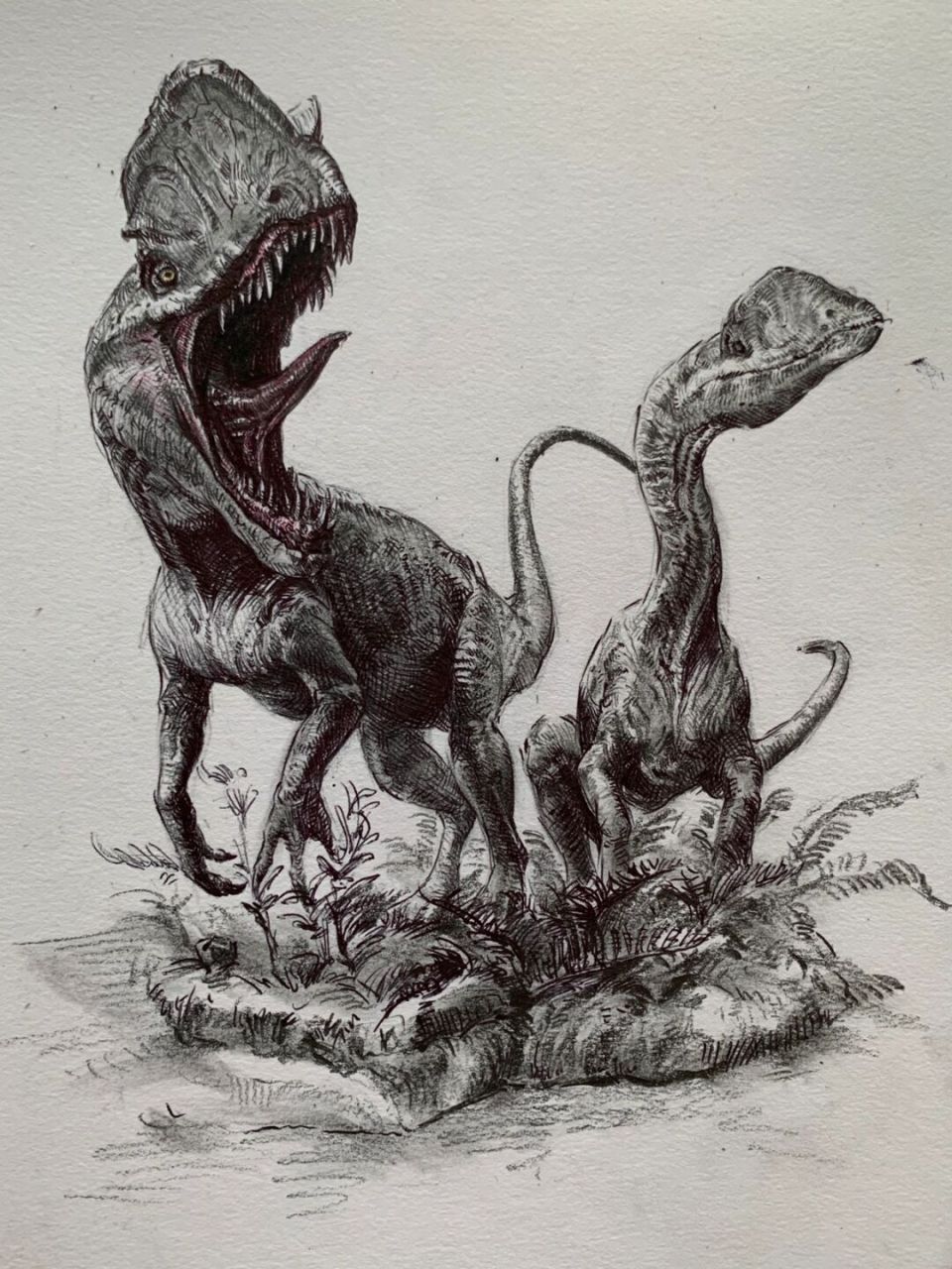 圆珠笔手绘恐龙～ 双脊龙～[害羞]#手绘# #侏罗纪世界# #恐龙