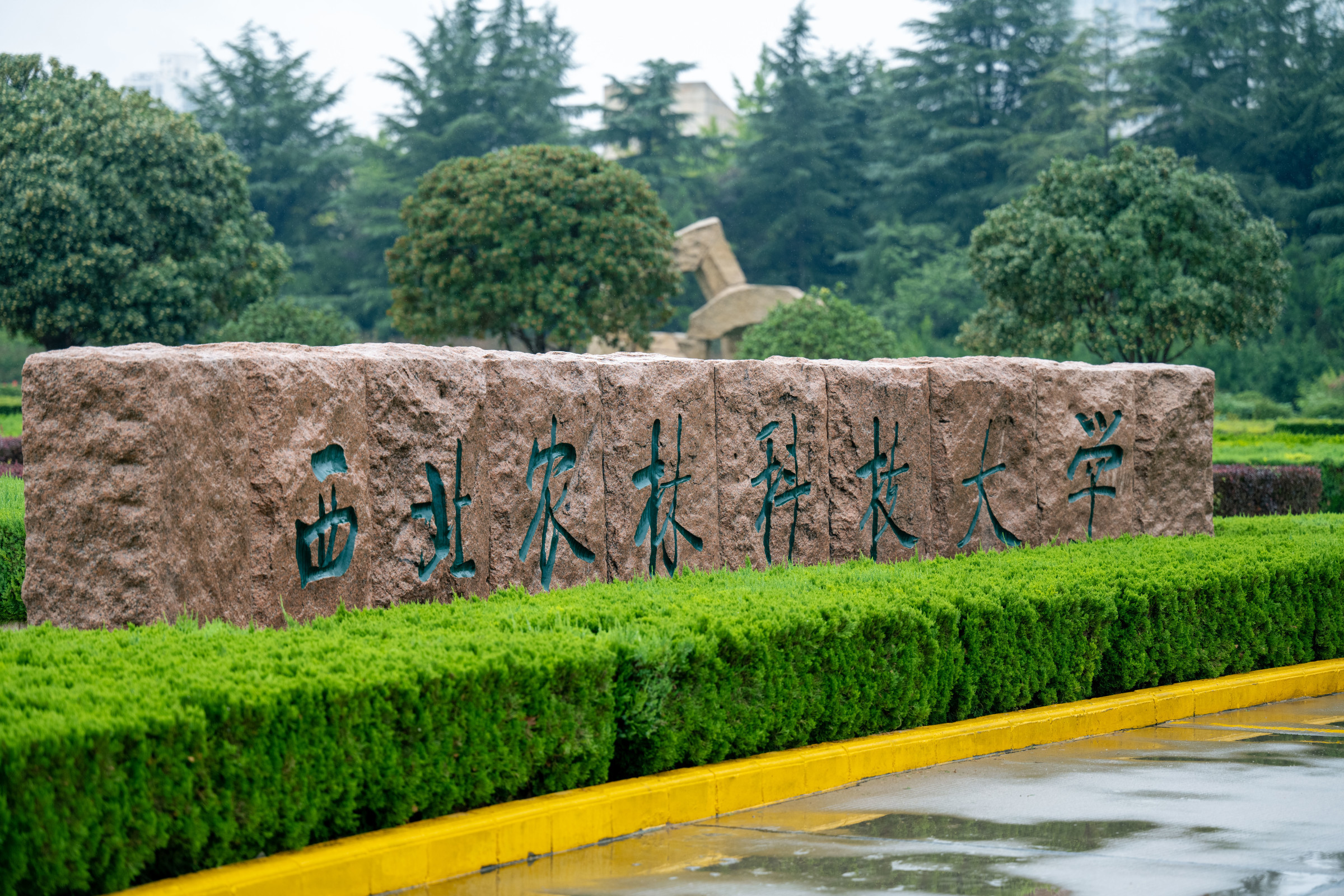 温馨的阳光和美好的心情,是迎接新的一天最好的