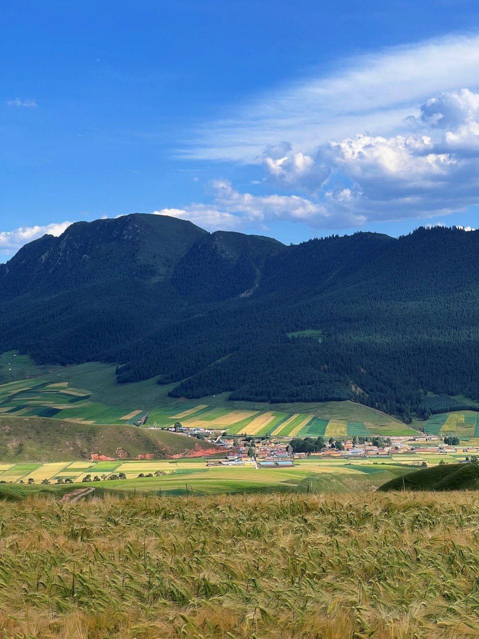 省门票钱的卓尔山后山攻略和住宿推荐7515 卓尔山真的很美!