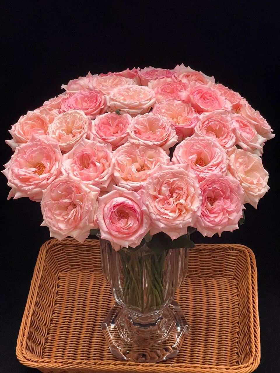 乔伊斯玫瑰 今天,给大家分享一款大头玫瑰,来自梓恒基地的乔伊斯玫瑰