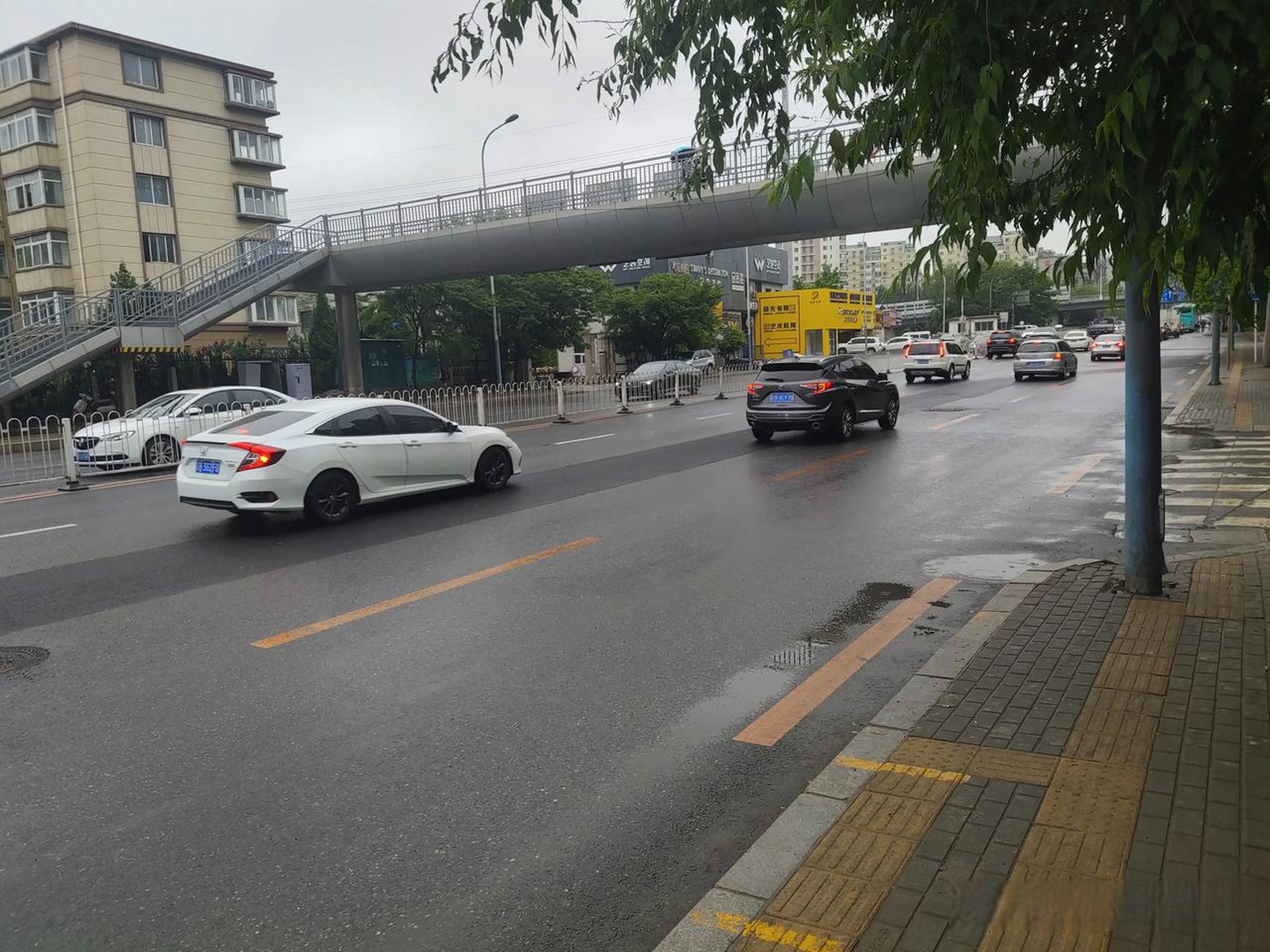 天气预报说大连今天有雨,确实挺准,大连今天下雨了,不过,从白天的情况