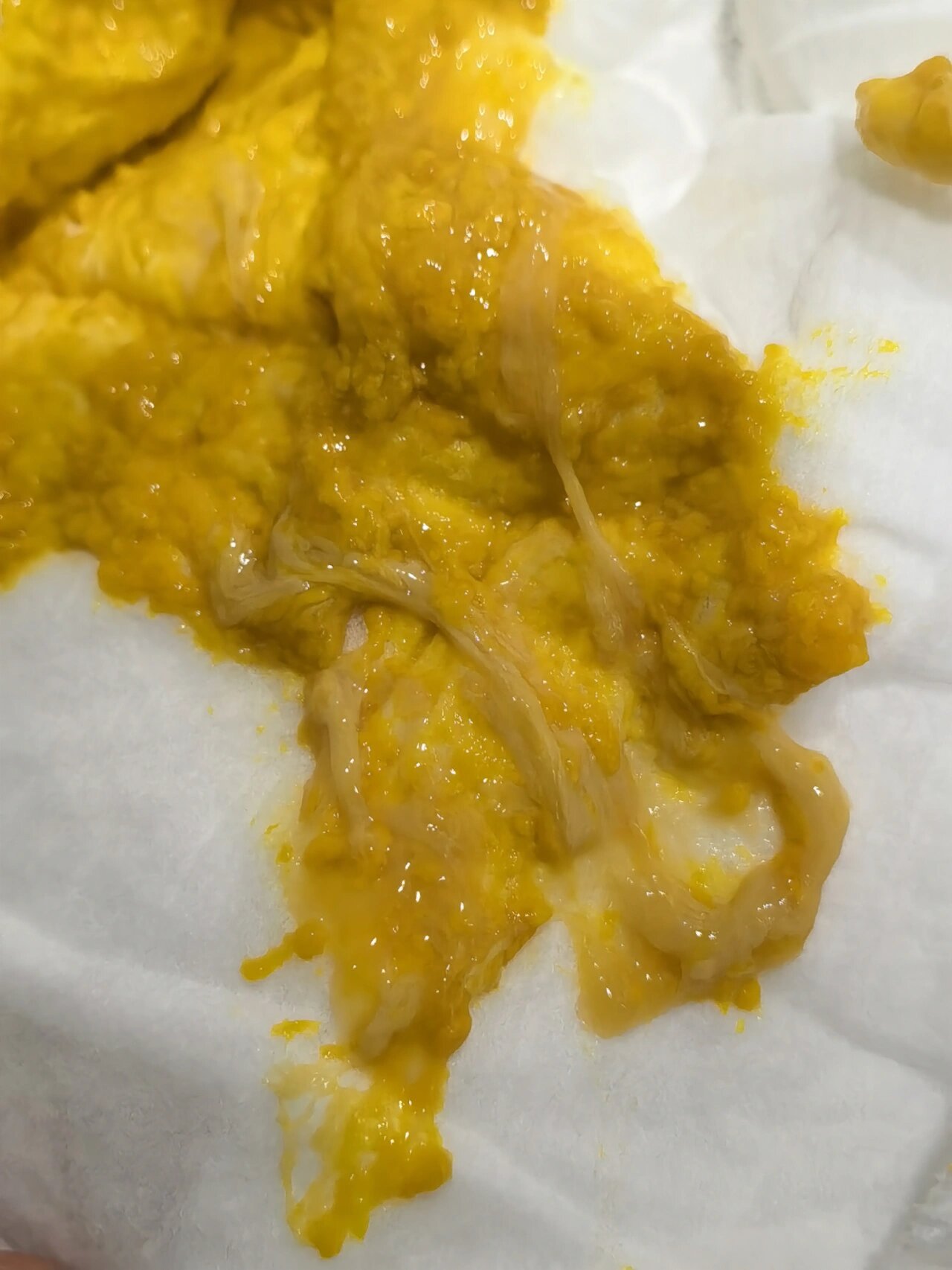 蔼儿舒的第五天黄色粘液便便(内有便便图