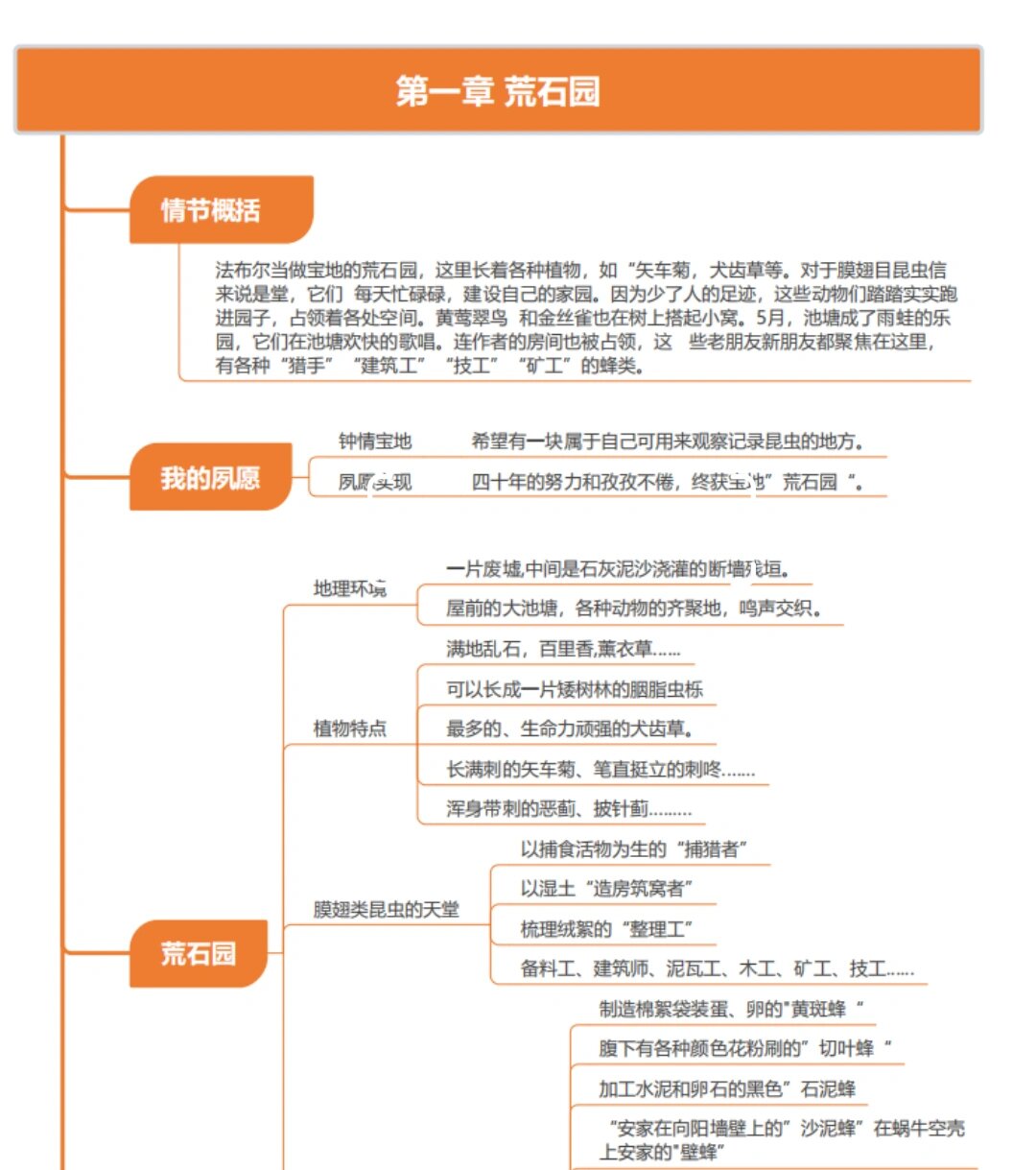 昆虫记石蚕思维导图图片