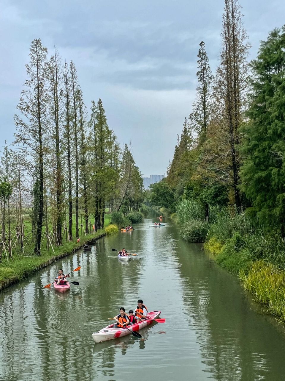 秋高气爽周末遛娃地93苏州吴江万公堤 秋天来了 可以哦室外活动了