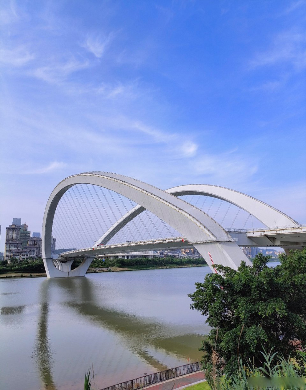 这样的南宁景色你喜欢吗?#南宁##南宁旅游##喜欢