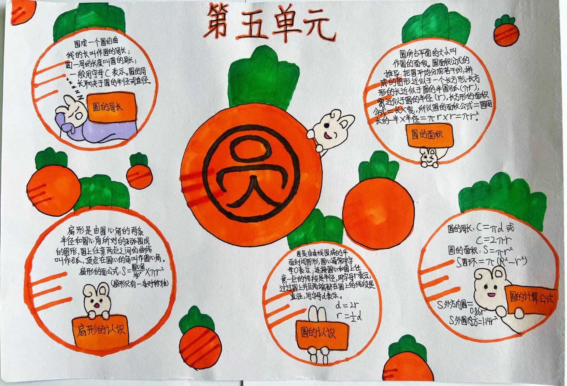 数学小报*《圆》思维导图     小学六年级数学第五单元《圆》