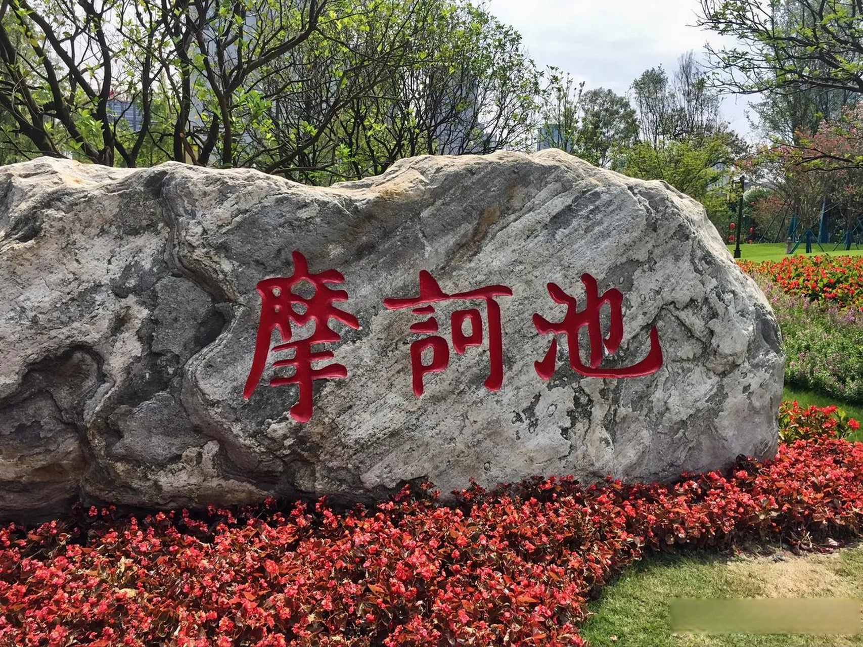 我没去摩诃池之前,以为摩诃池有农村堰塘那么大,结果一看仅有我家