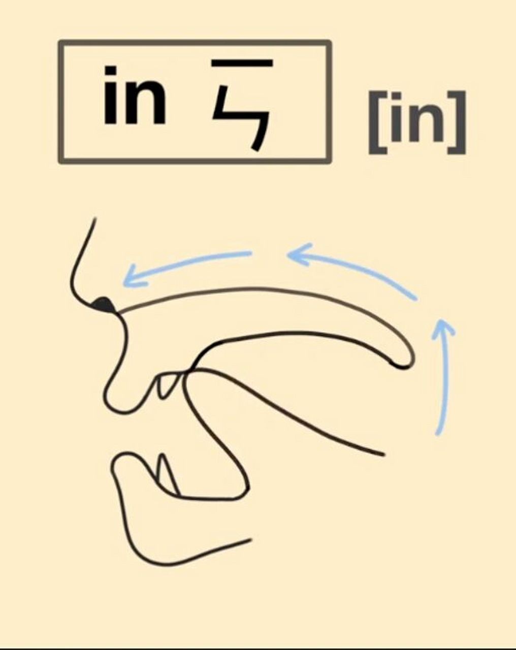 国际中文老师必备7575汉语拼音发音舌位图 汉语拼音三大难题 92