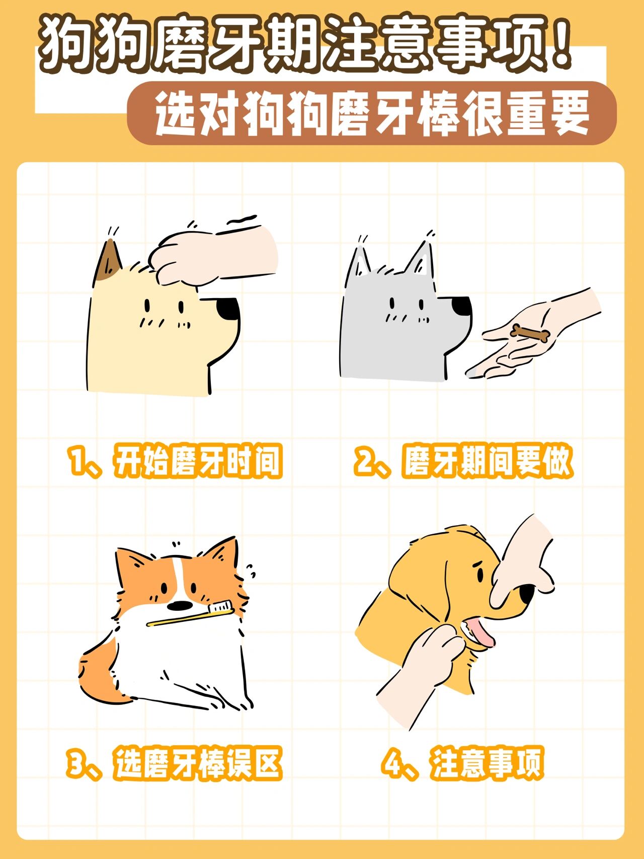 97狗狗磨牙期注意事项751575157515