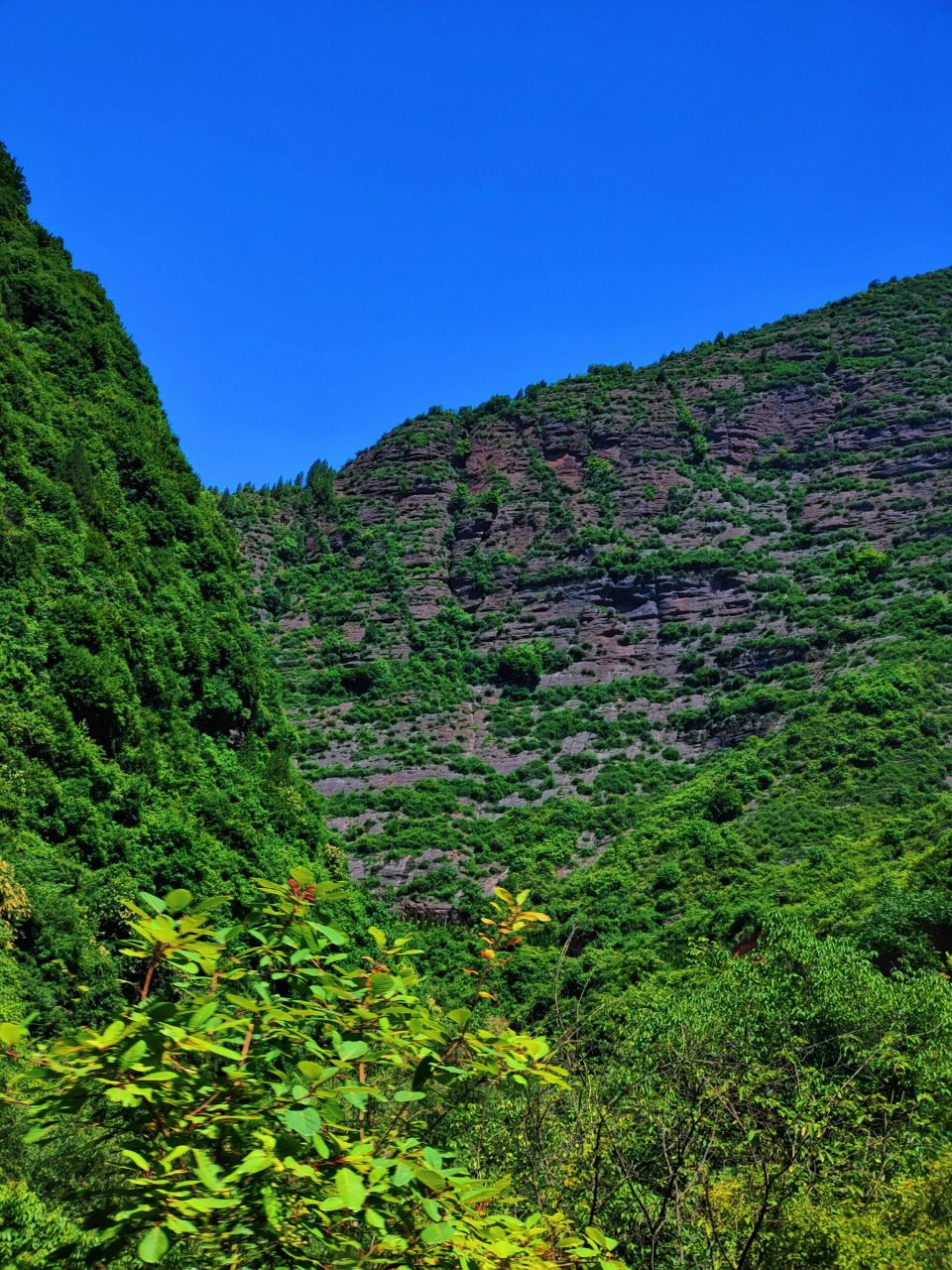 凤县灵官峡嘉陵江上游第一峡 凤县灵官峡 嘉陵江上游第一峡99 秦岭