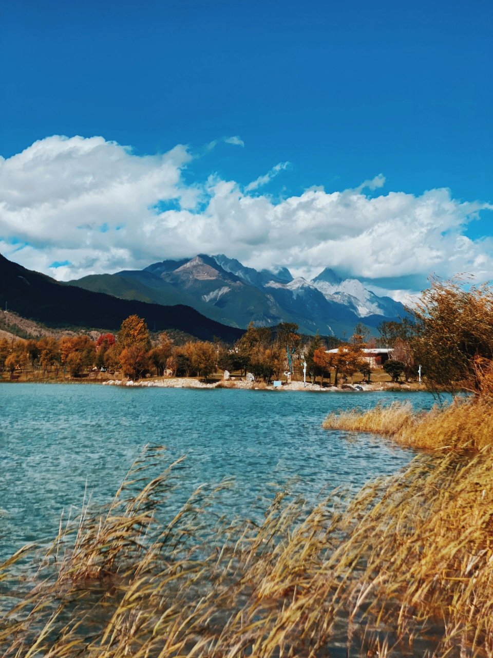 深秋的中济海公园真的美的像漫画 丽江秋季宝藏打卡点～中济海公园