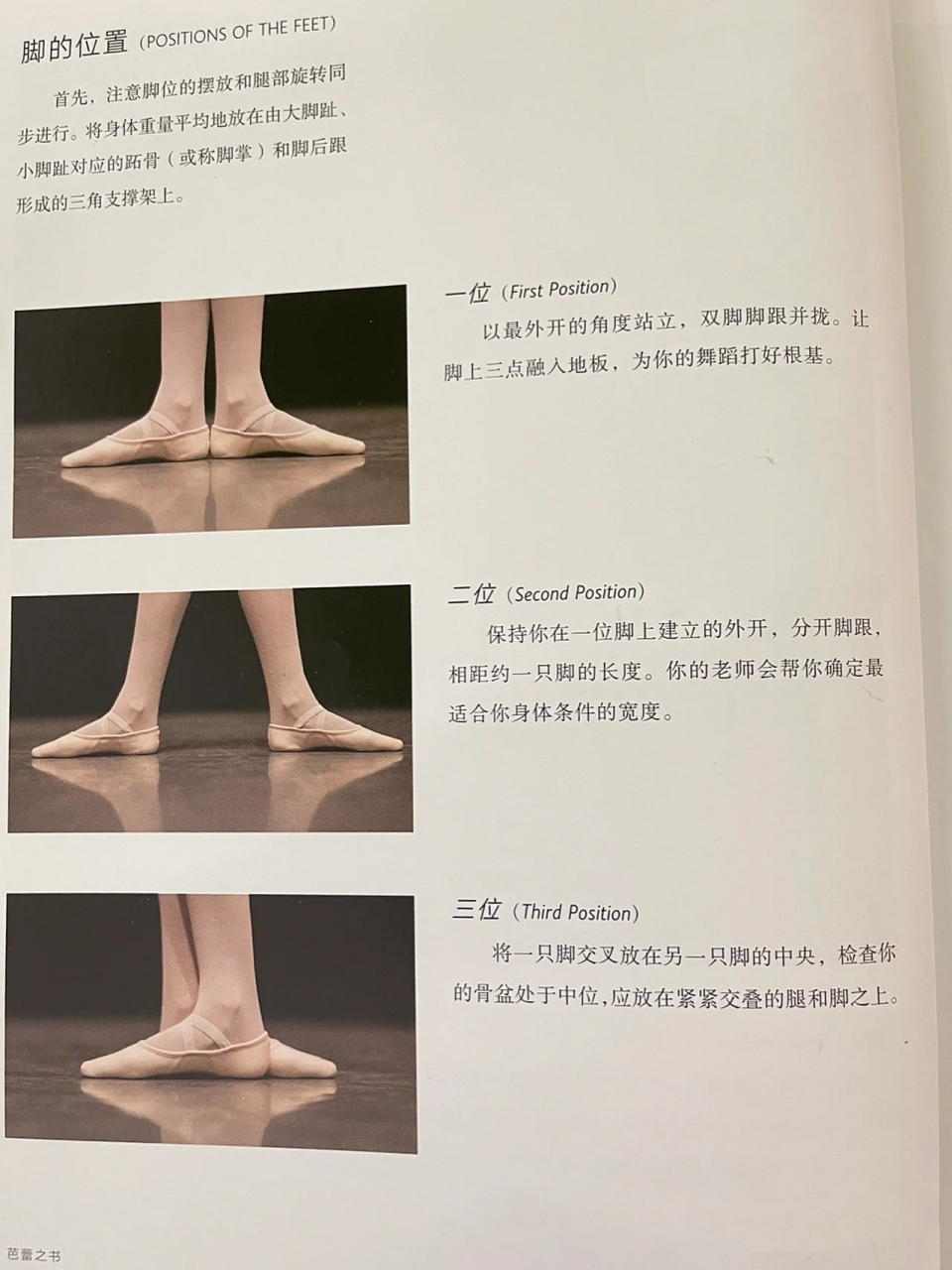 科普02芭蕾基本脚位&脚踝位 9799脚位: 96一位(1st position)