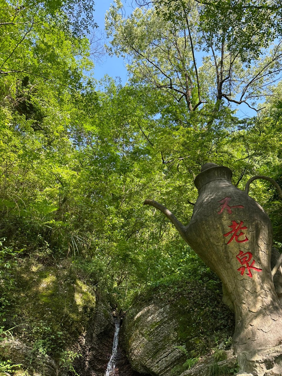 常山不老泉  6.1去的一个人少又安静的好地方!