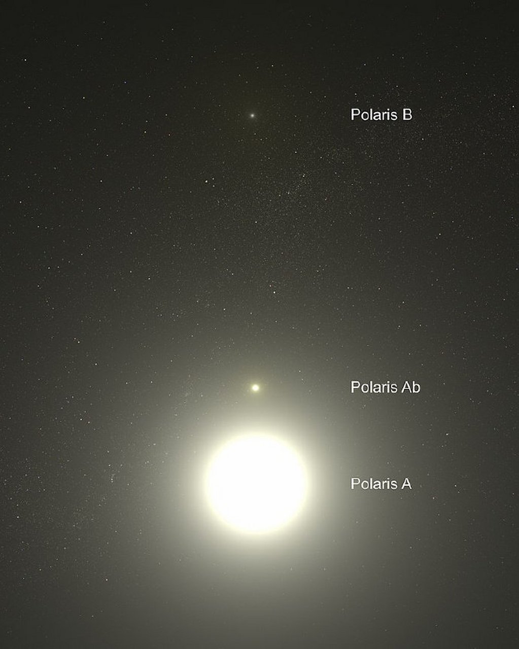 天才北极星ve图片