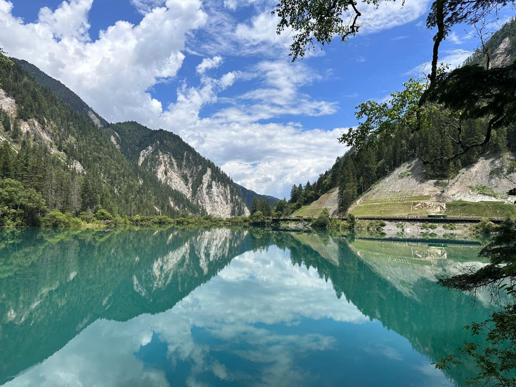 7月24日九寨沟箭竹海 一饱眼福