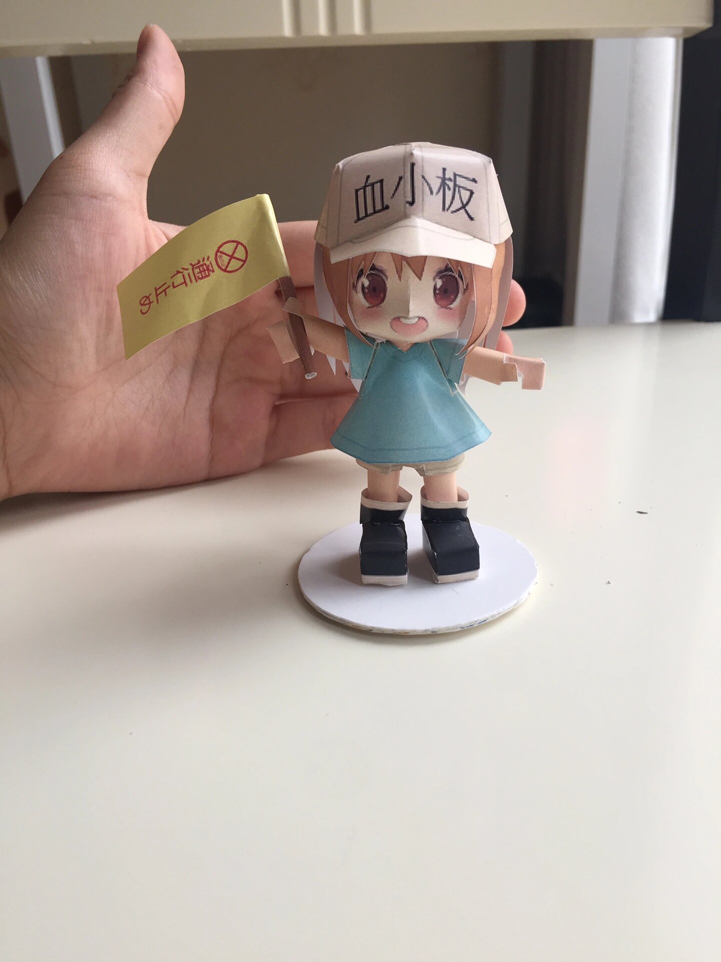 血小板纸模/附图