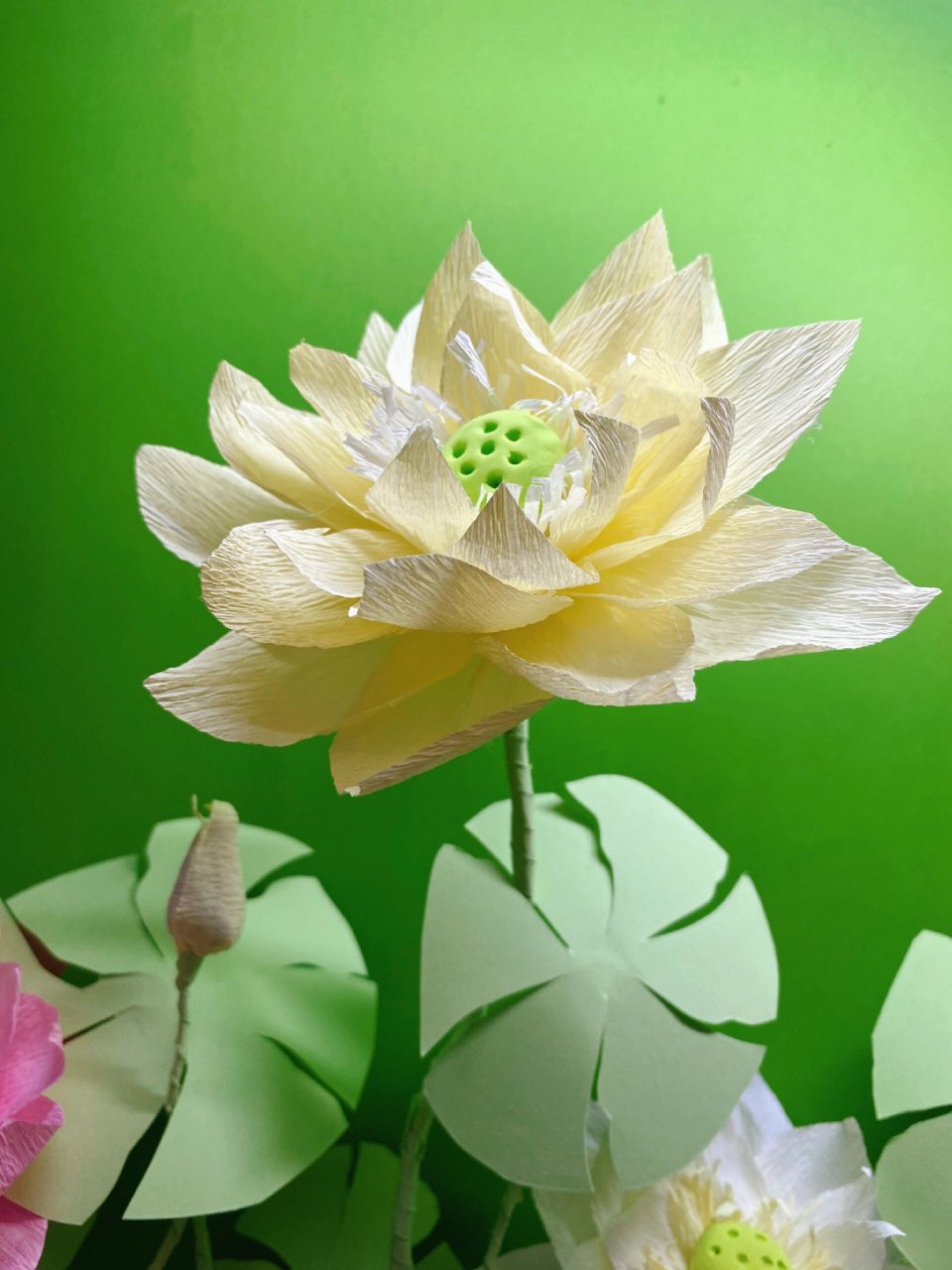 皱纹纸手作-夏日荷花 季夏之月 荷花遍地开放#夏日荷花# #皱纹纸荷花