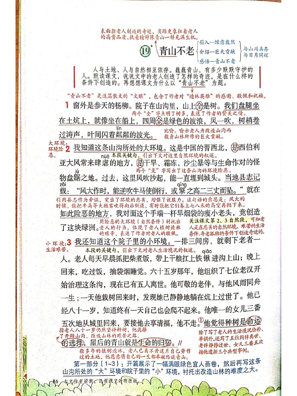 六年级上册语文《青山不老》课堂笔记          部编版小学语文六年级