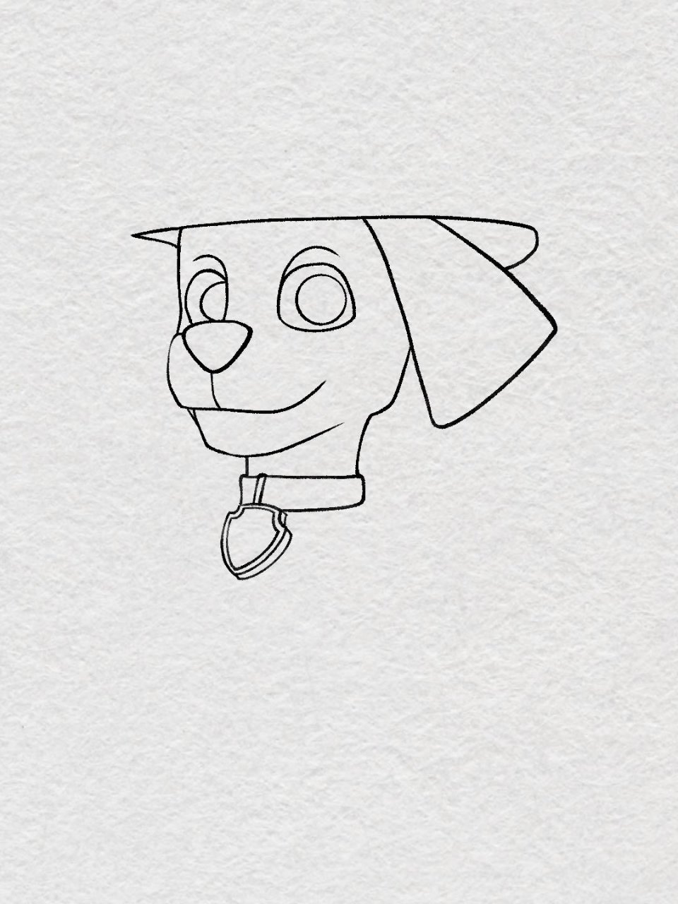 大家催更的汪汪队-毛毛来了