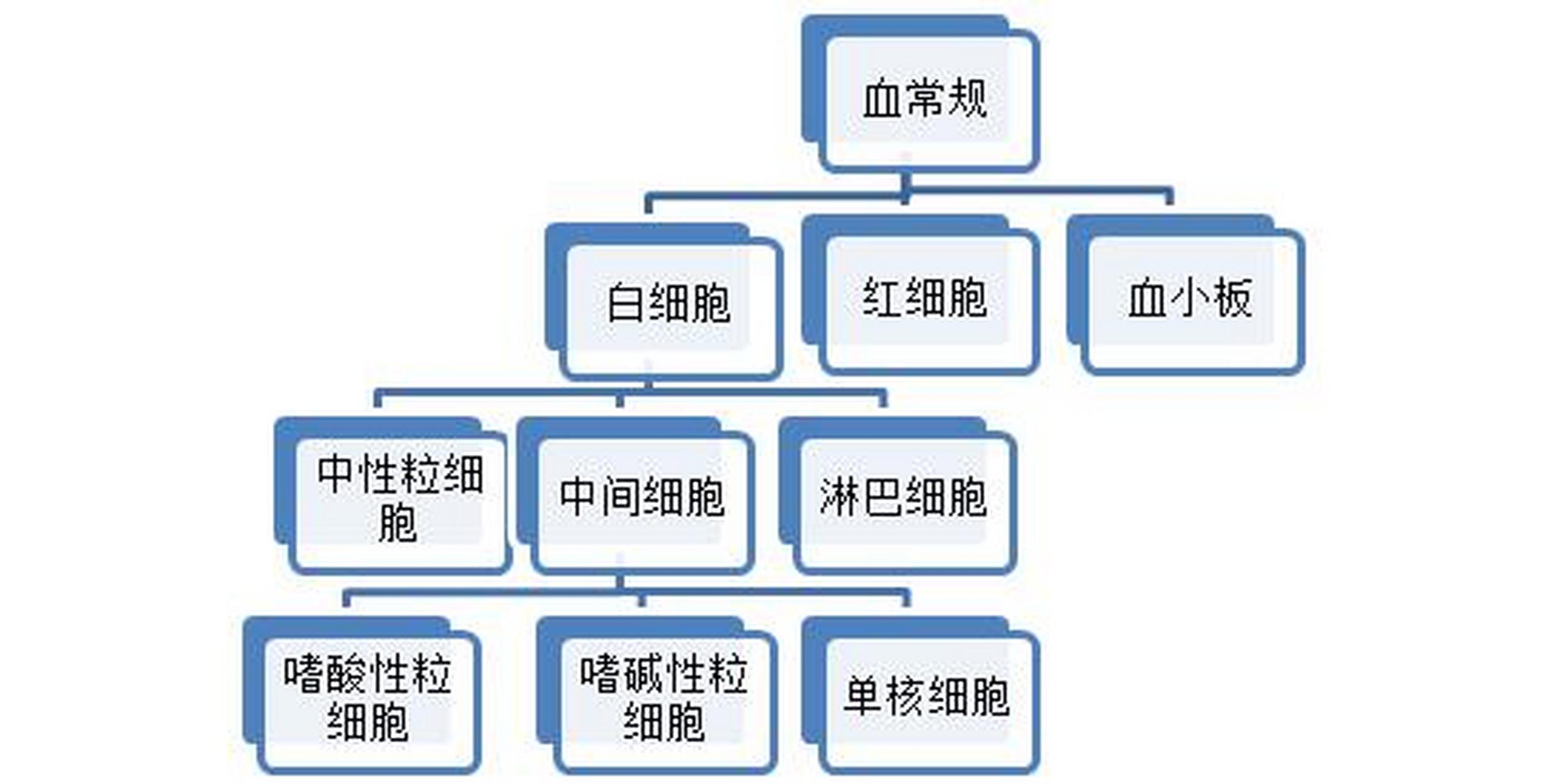 血液由什么组成图片