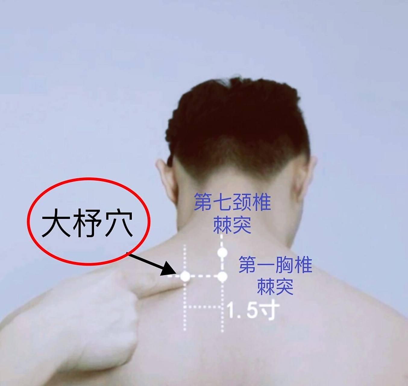 一天记一个穴位—大杼 大杼穴,属足太阳膀胱经,八会穴之骨会;足太阳