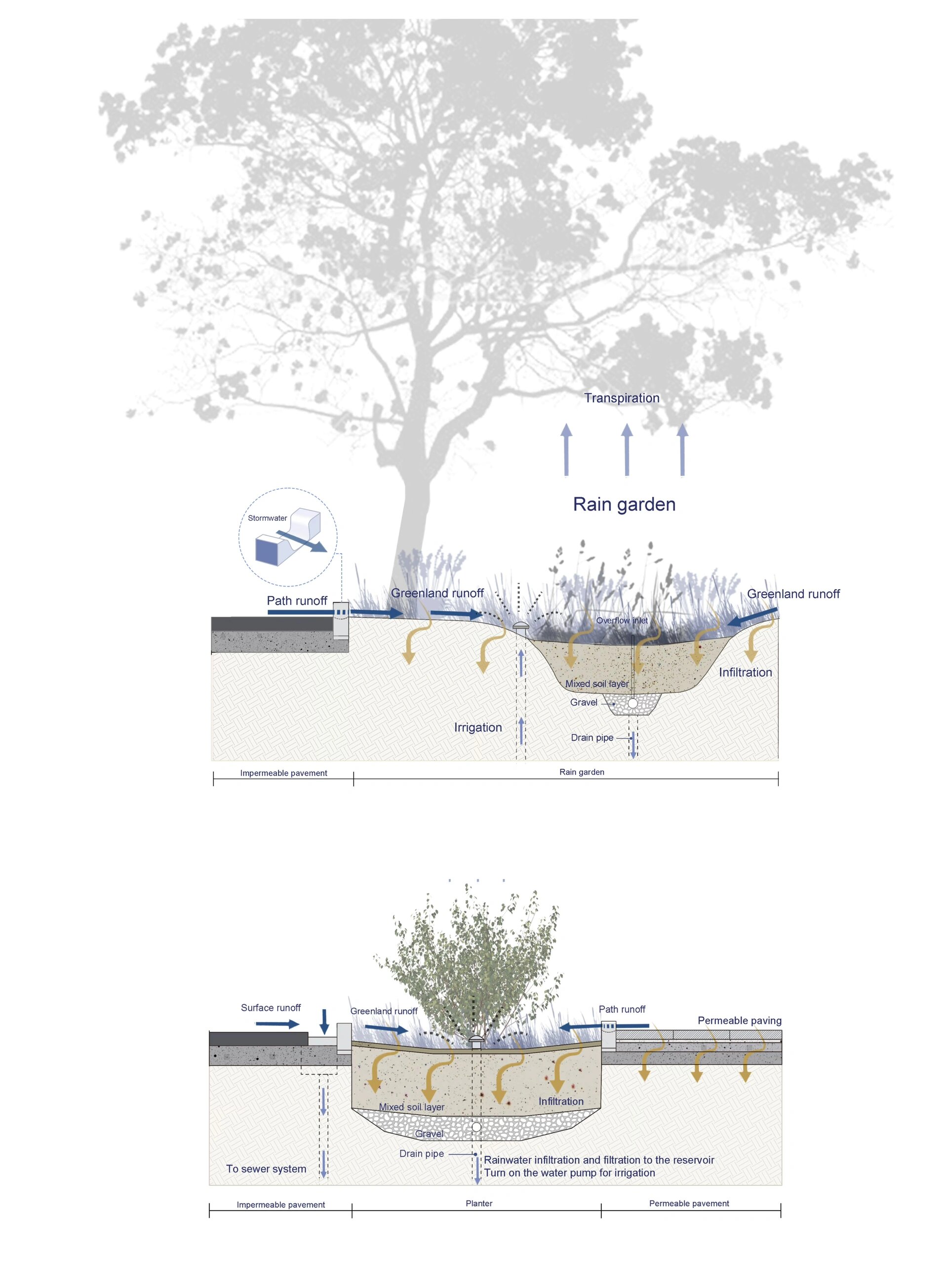 景观设计雨水花园 排水设计图纸
