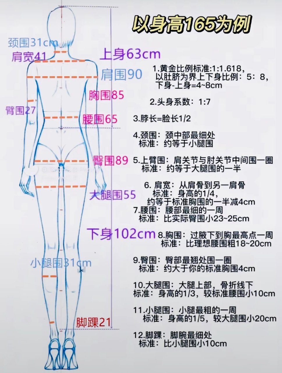 女性三围标准表图片