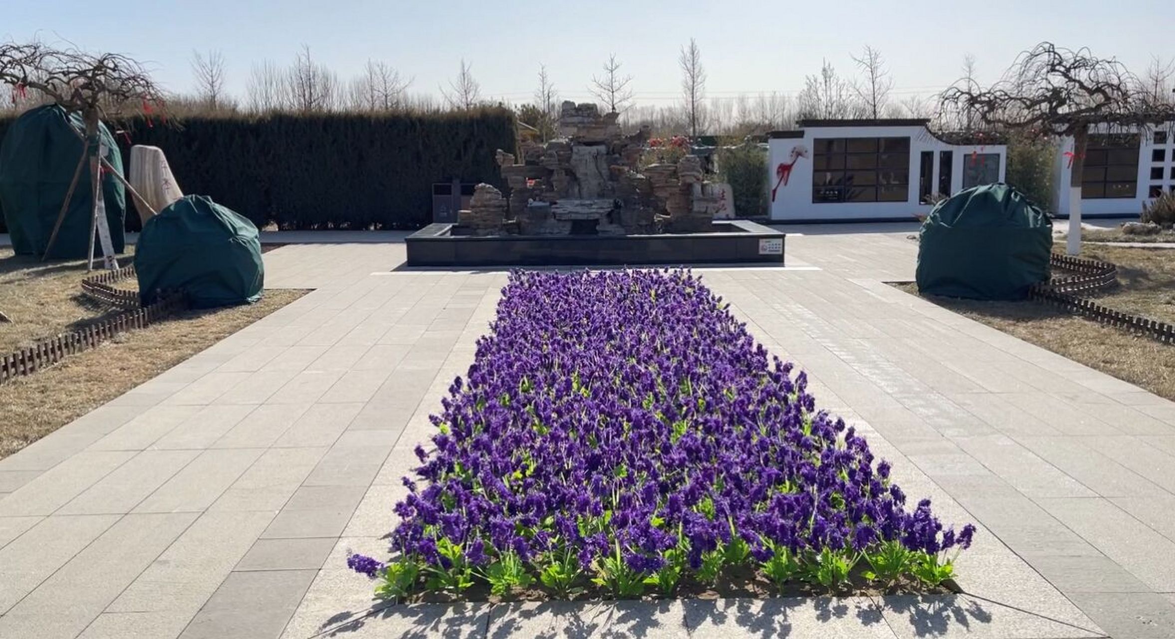 经营性公墓 行政区域:安次区 距离市区:10公里 陵园地址:廊坊市安次区