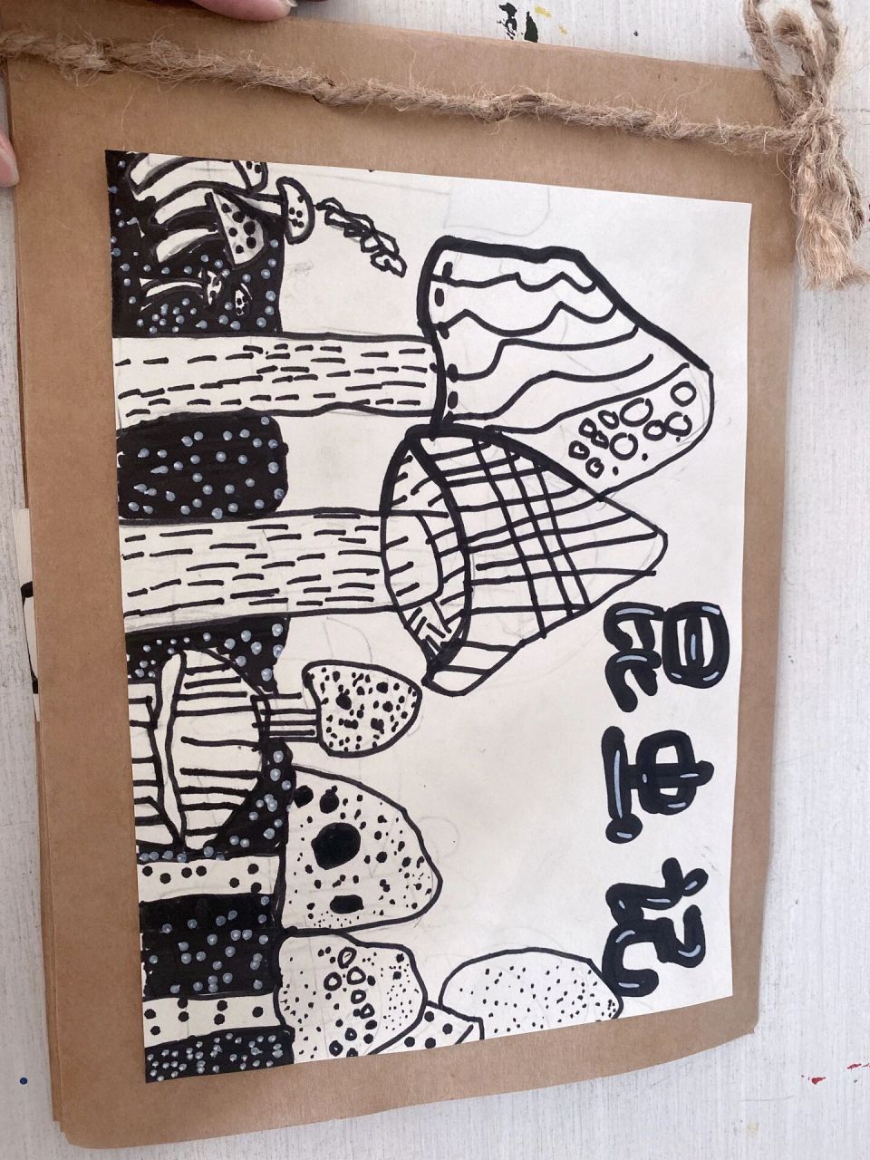 037～9岁线描画《昆虫记》03