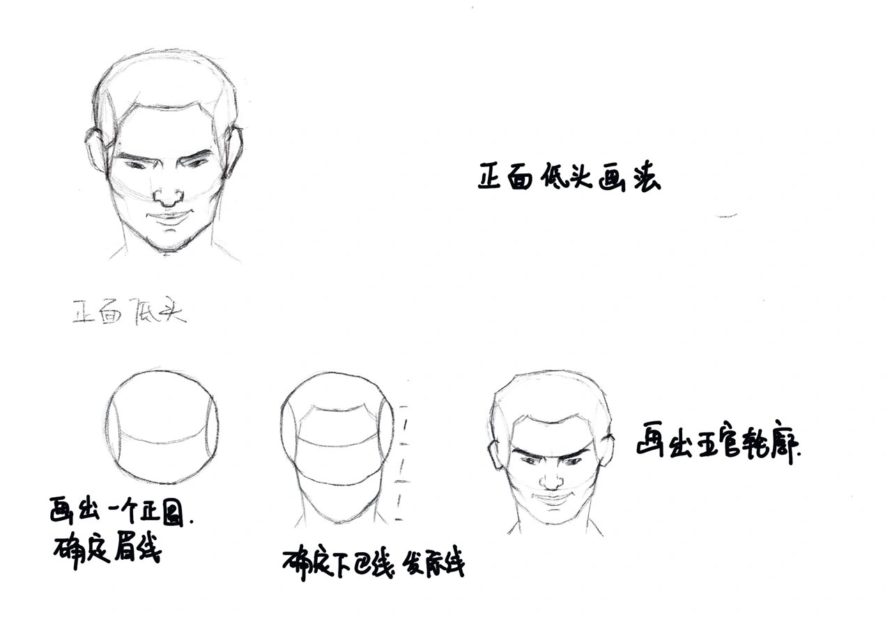 头部正面低头画法【2