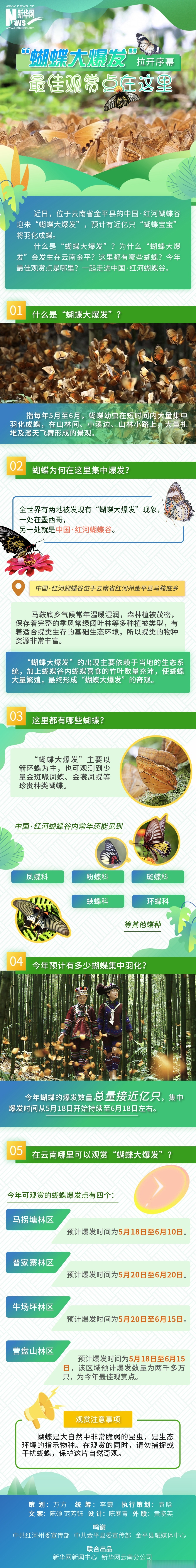 万千气象看云南#【"蝴蝶大爆发"拉开序幕 最佳观赏点在这里】创意长