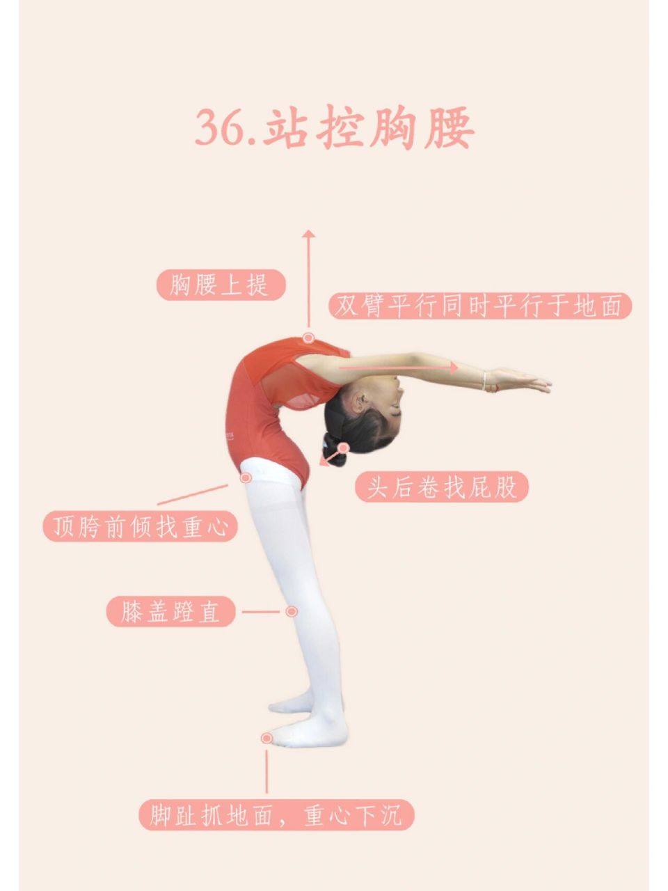 少儿中国舞基本功图解36站控胸腰