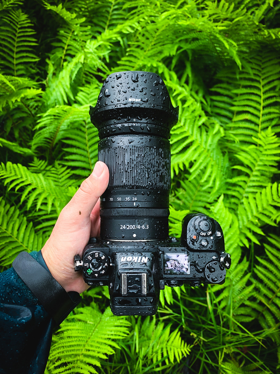 买尼康24-200还是70-200 f4 本人尼康党,平时拍风光,也拍娃.