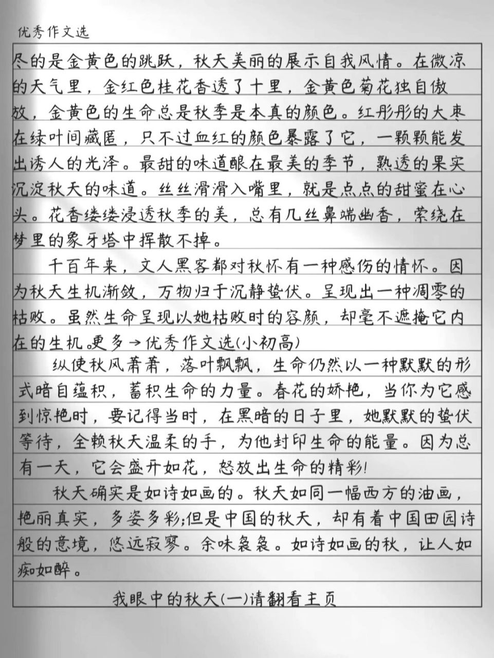 我眼中的秋天(二)记录秋天的美如画秋天作文