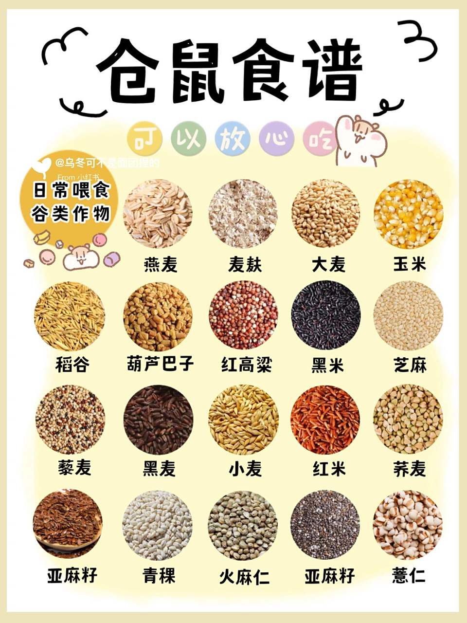 仓鼠能吃&不能吃 |仓鼠食物速查表 超98食谱 鼠宝是杂食动物,几乎