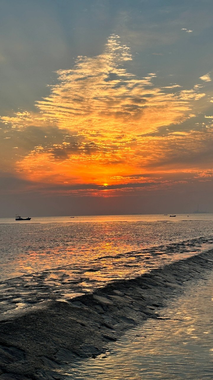 嘉兴海盐观海园,导航可以直接到,红绿灯旁边的桥底下有停车场,从停车