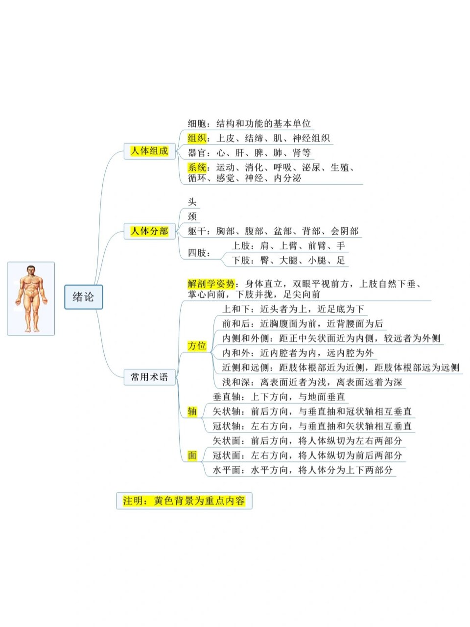 中药学绪论思维导图图片