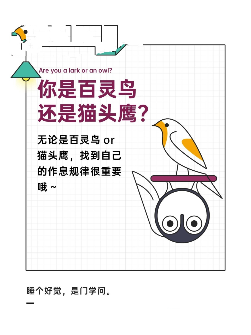 睡眠的【百灵鸟】【猫头鹰】体质6015看看你是哪种 睡眠也是分