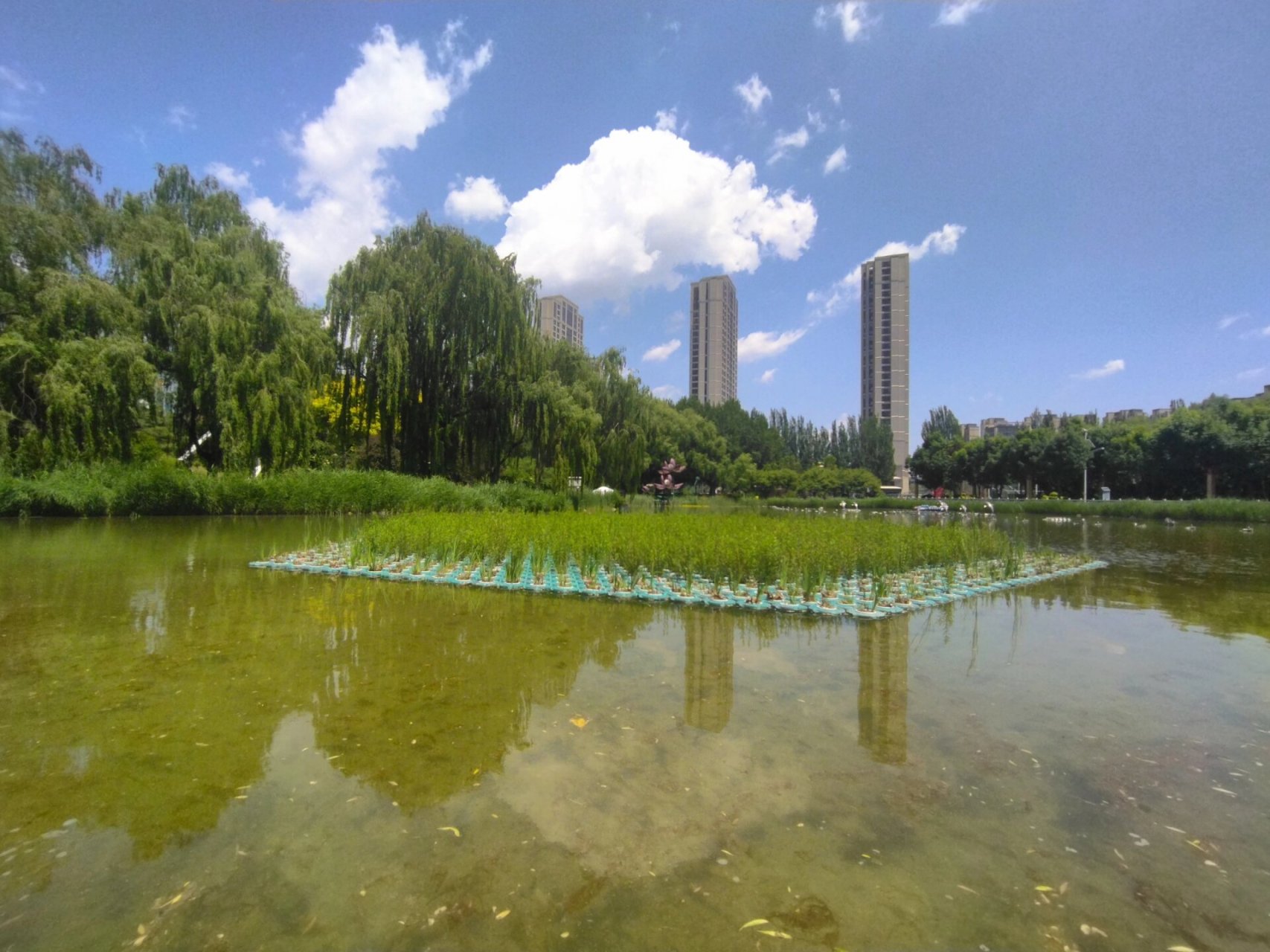 沈阳科普公园走一圈