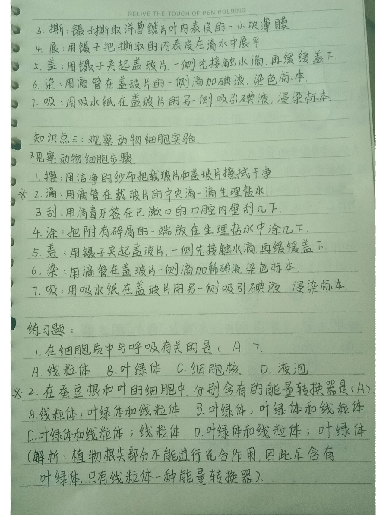 生物七上综合笔记(生物七年级上册笔记整理)  第2张 生物七上综合笔记(生物七年级上册笔记整理)  第2张
