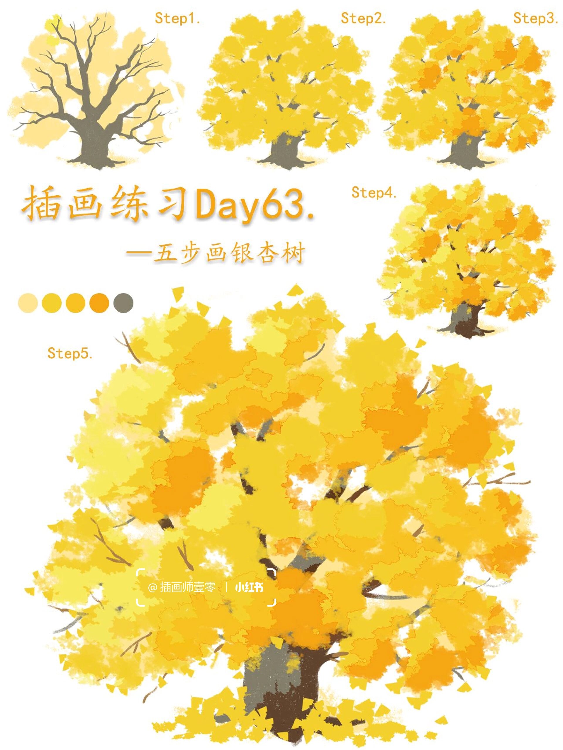 零基础插画教程|五步画银杏树~ 路边的银杏树掉了一地落叶,黄灿灿的