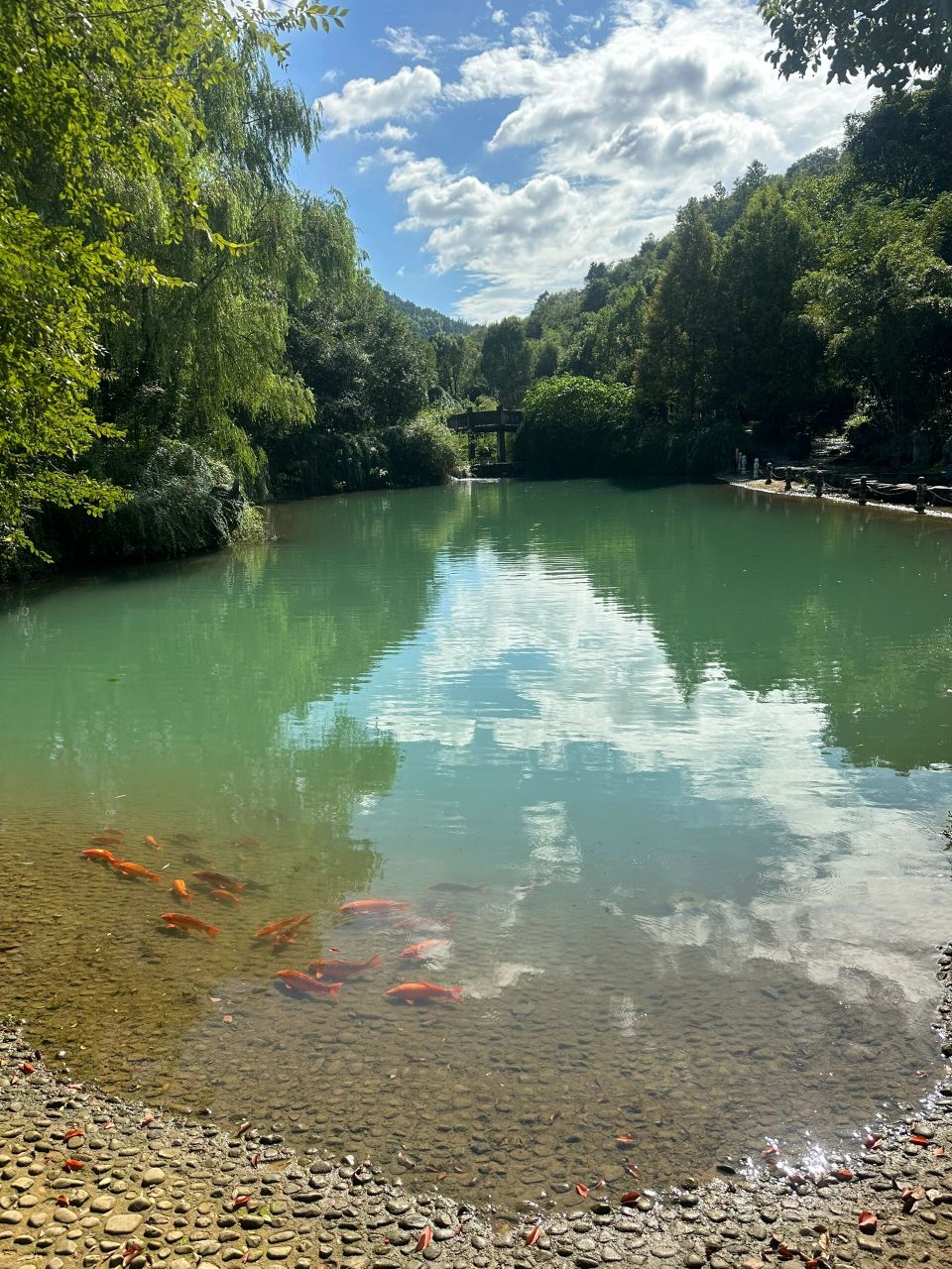 常山三衢石林 每周一山 山很大,全部爬完要两个多小时,下山半个小时就
