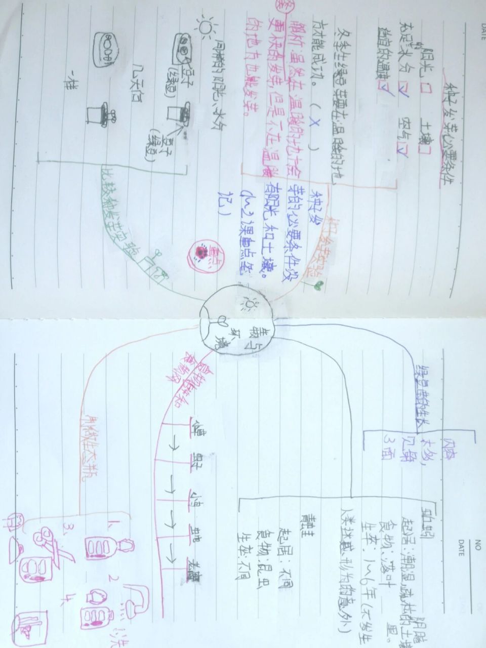 四年级下册第一单元科学思维导图 点头像看更多思维导图