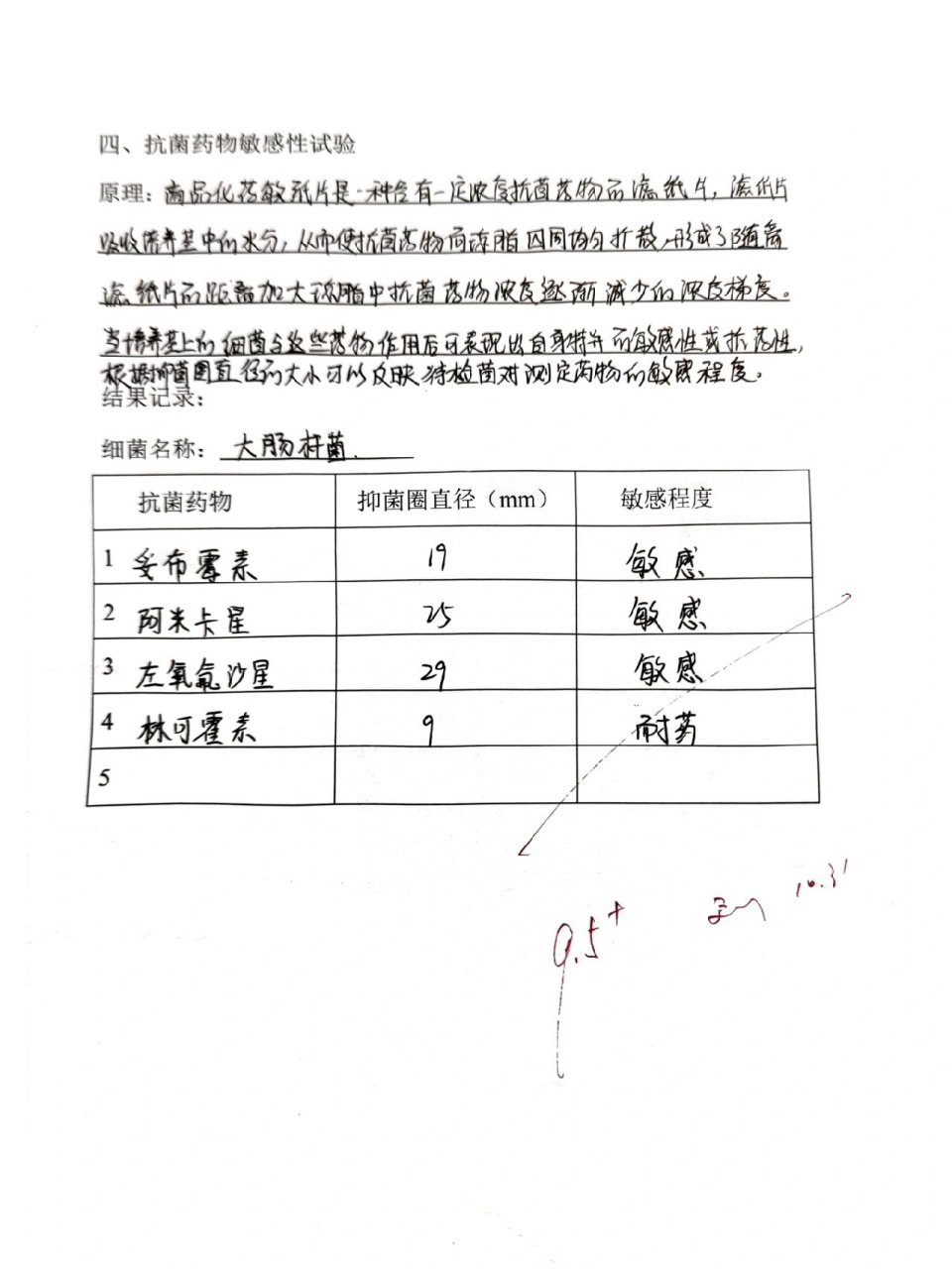 白糖结晶实验报告图片