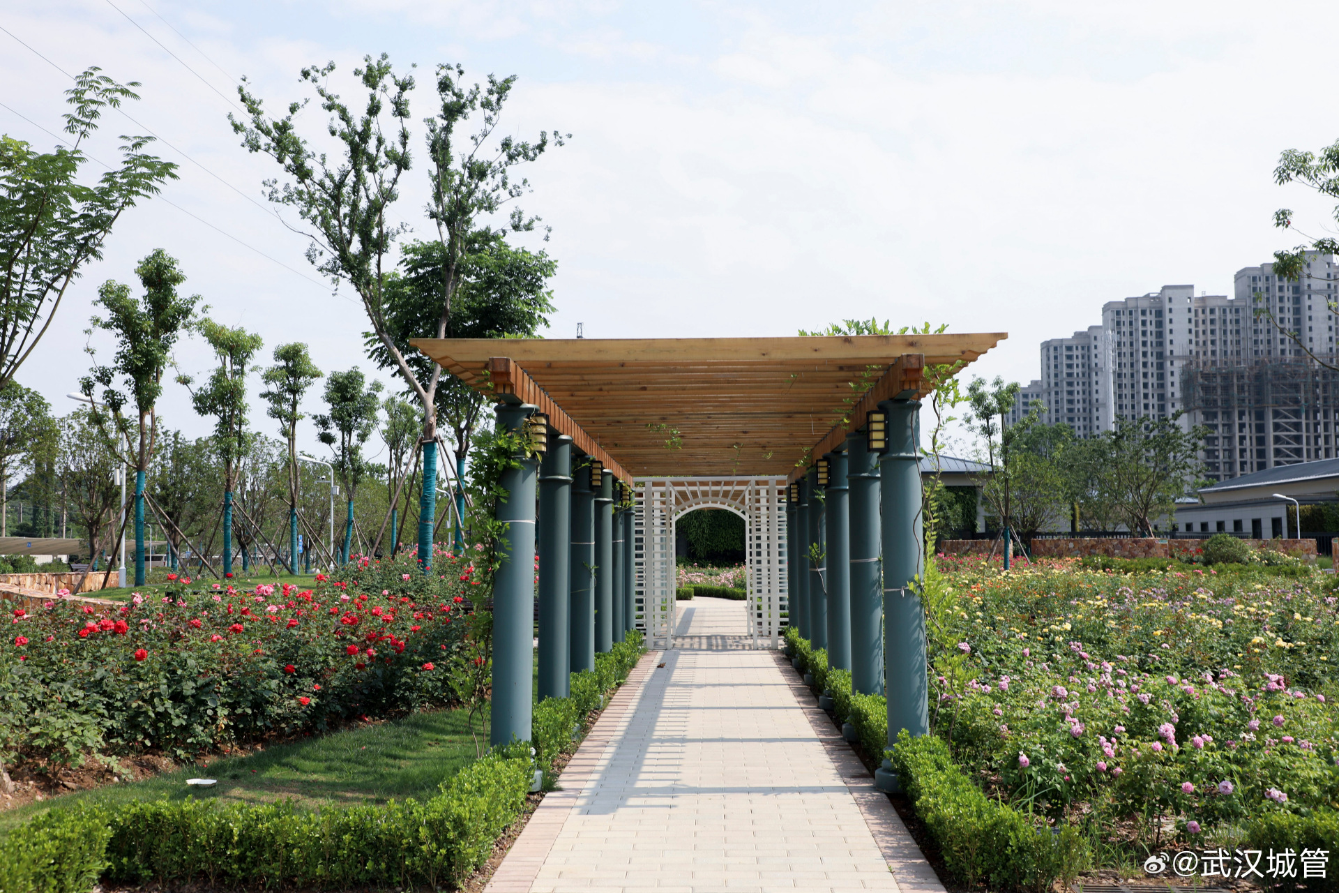 毛坦公园是武汉唯一一座"双拥"公园,自今年3月开放以来,已成为直哌